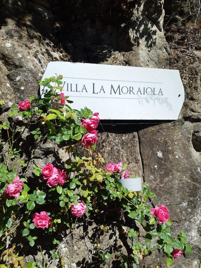 Villa La Moraiola Passignano sul Trasimeno Exterior foto