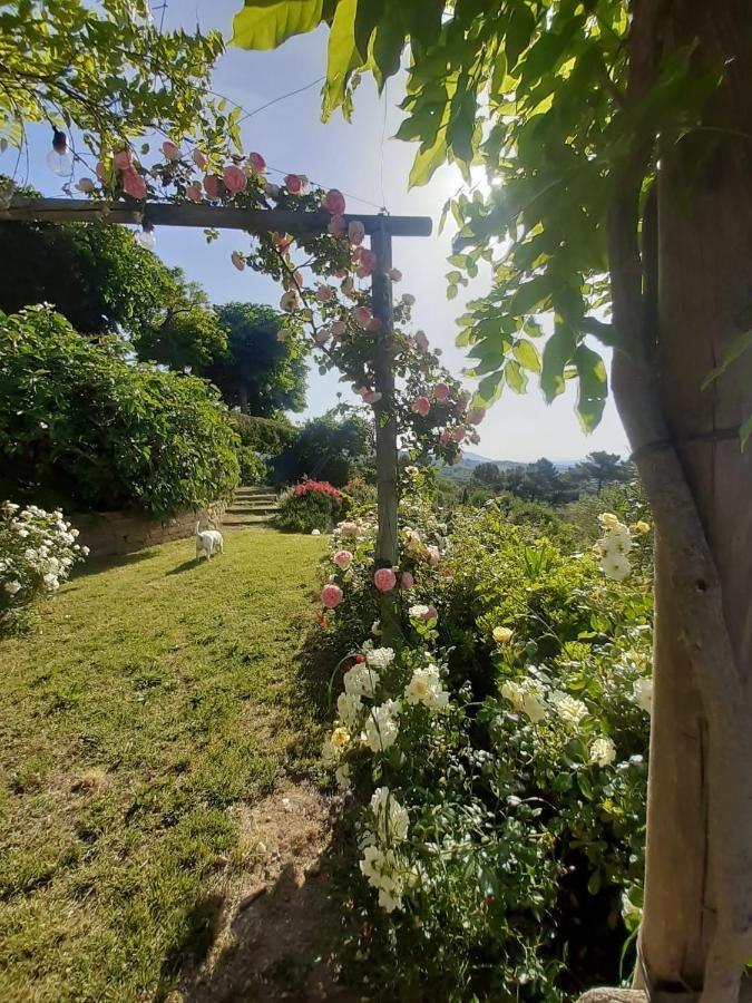 Villa La Moraiola Passignano sul Trasimeno Exterior foto