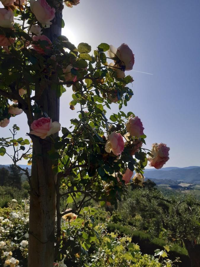 Villa La Moraiola Passignano sul Trasimeno Exterior foto
